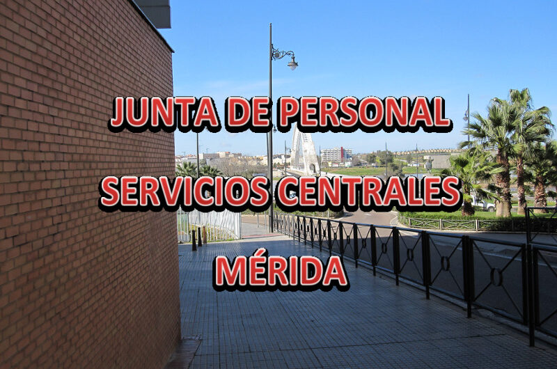 Información pleno Junta de Personal de los Servicios Centrales 23-03-15