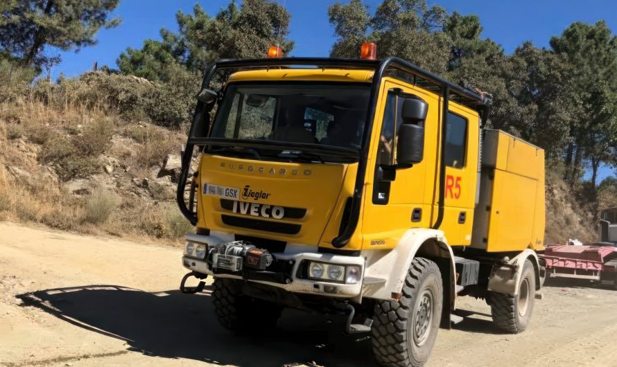 Corrección errores bases convocatoria estabilización concurso Grupo II Bombero/a Forestal Coordinador/a CAE