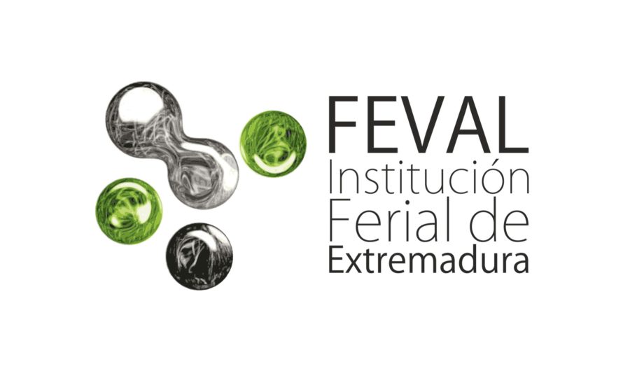 Convocatoria contratación 6 Técnico/a Docente FEVAL